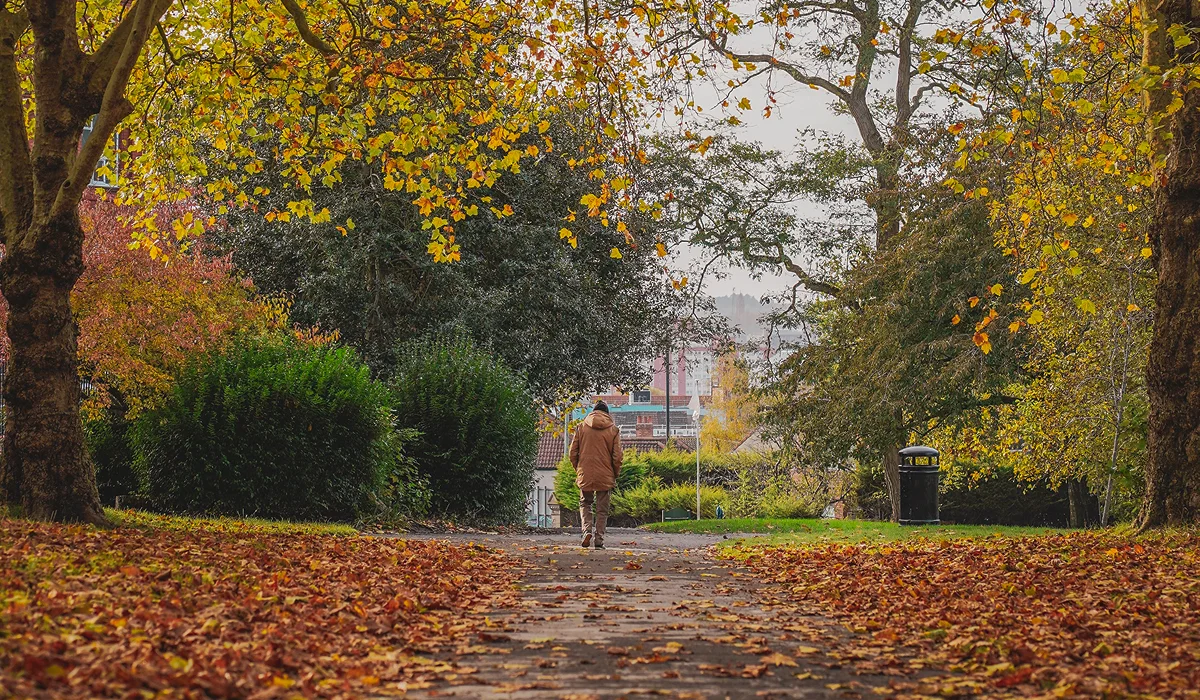 North West London’s Best Parks for an Autumn Walk